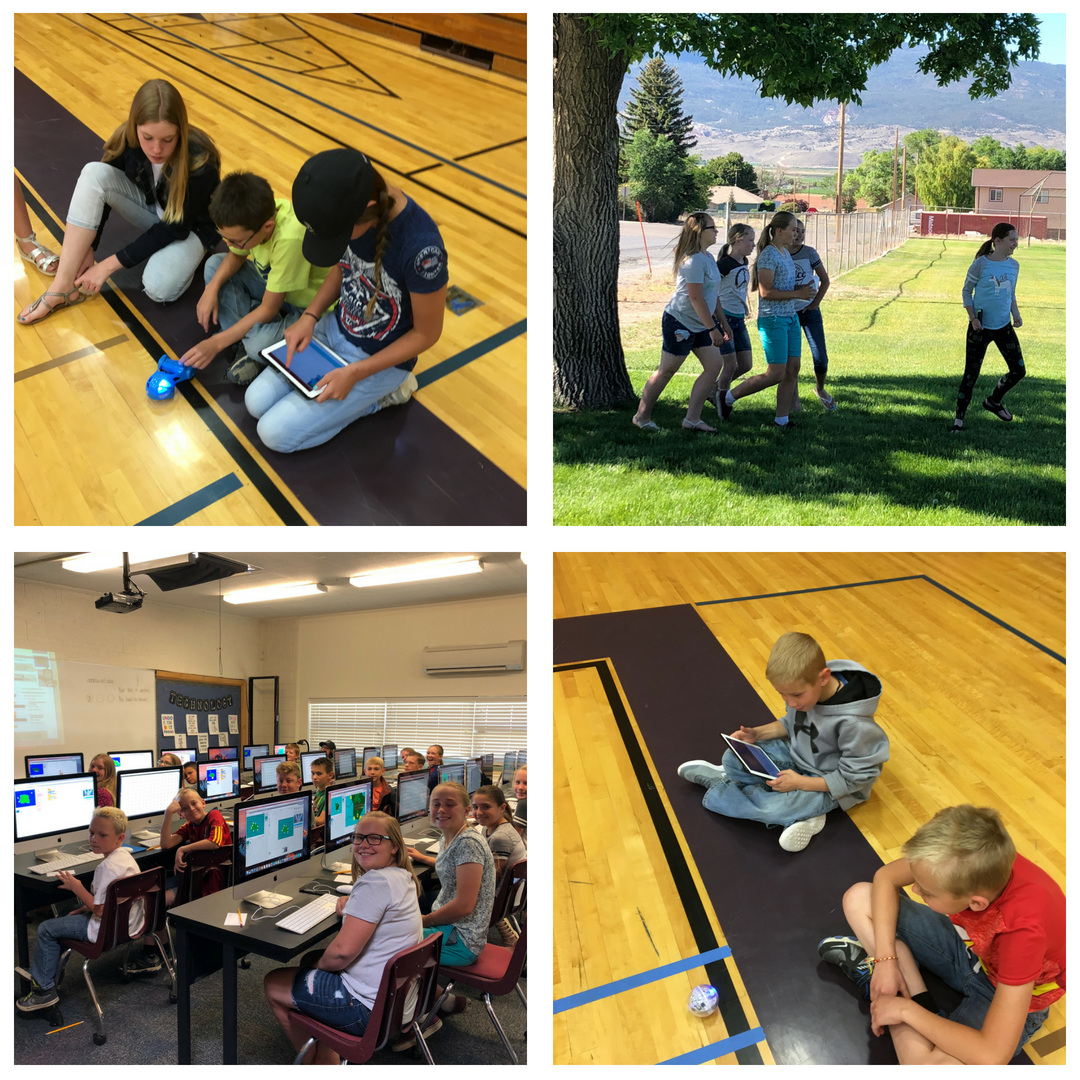 Coding Camp Collage