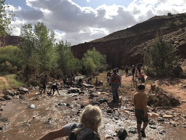 IMG 1760 copy